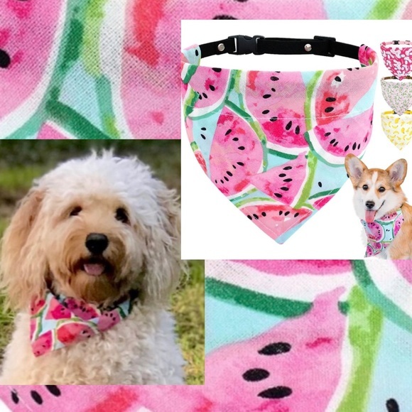 Dog Bandana + Collar Pink Watermelon Medium Large - Picture 2 of 7